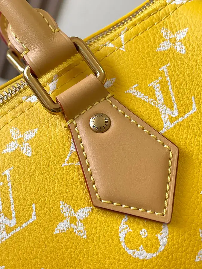 Pharrell Williams Bandouliere 25 Handbag From Paris to Virginia Collection