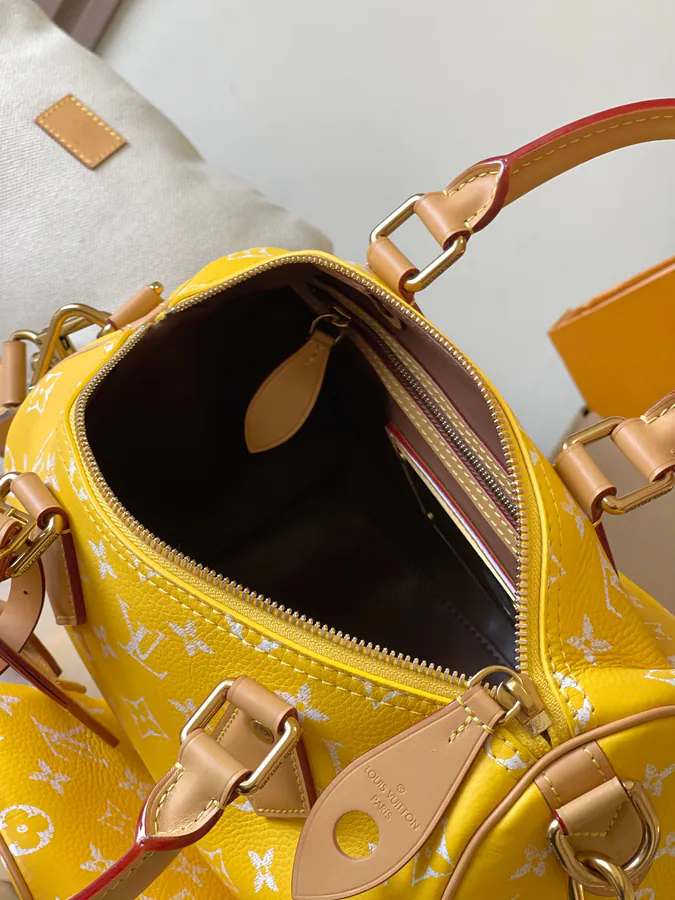 Pharrell Williams Bandouliere 25 Handbag From Paris to Virginia Collection