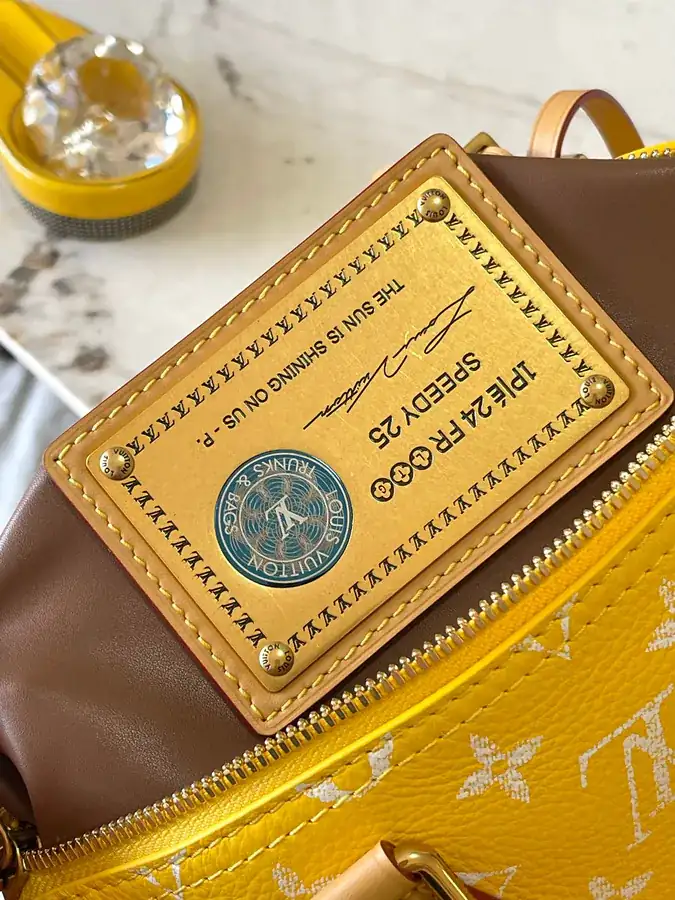 Pharrell Williams Bandouliere 25 Handbag From Paris to Virginia Collection