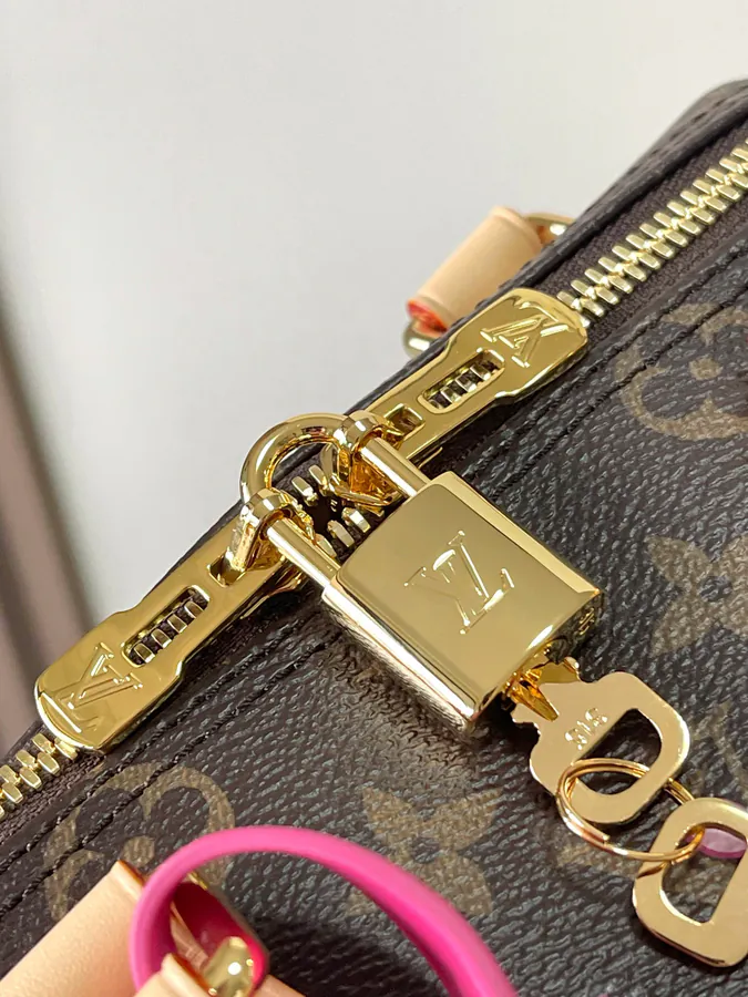 Speedy Bandoulière 25 Handbag in Original MB Leather