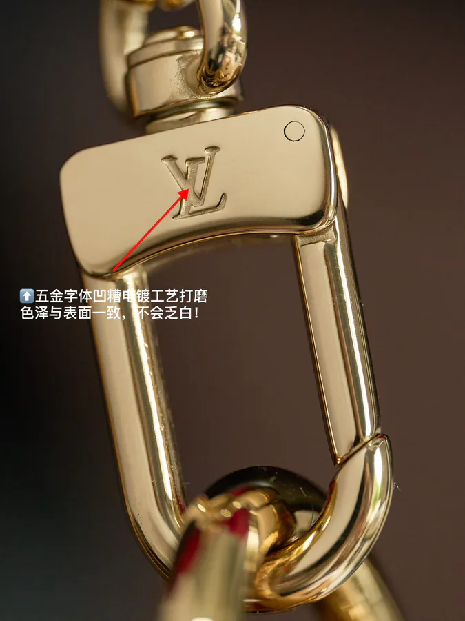 LooP Handbag # M81098