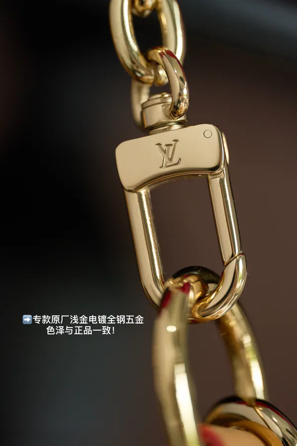 LooP Handbag # M81098