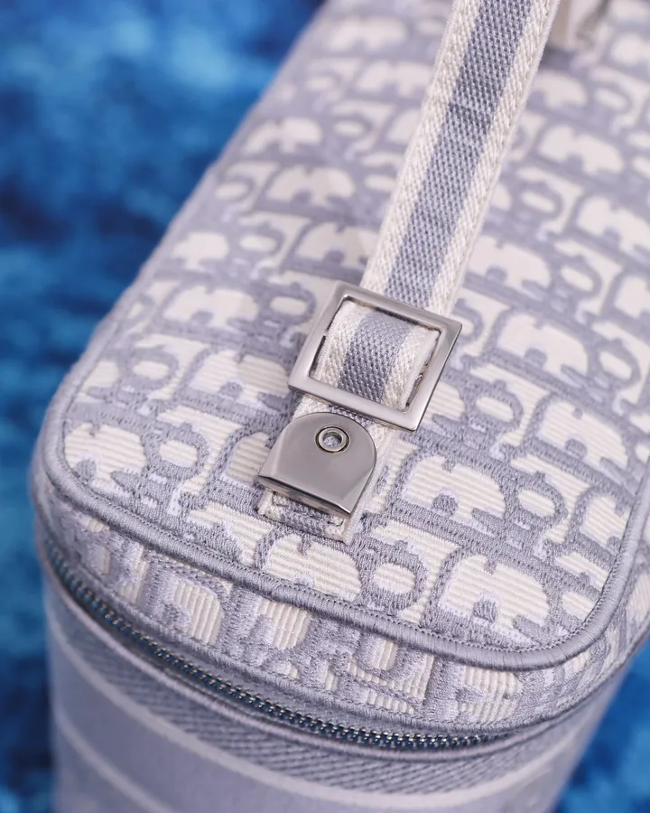 DiorTravel Vanity Bag Blue Oblique Print, Christian Dior Logo, 24x17x13.5cm