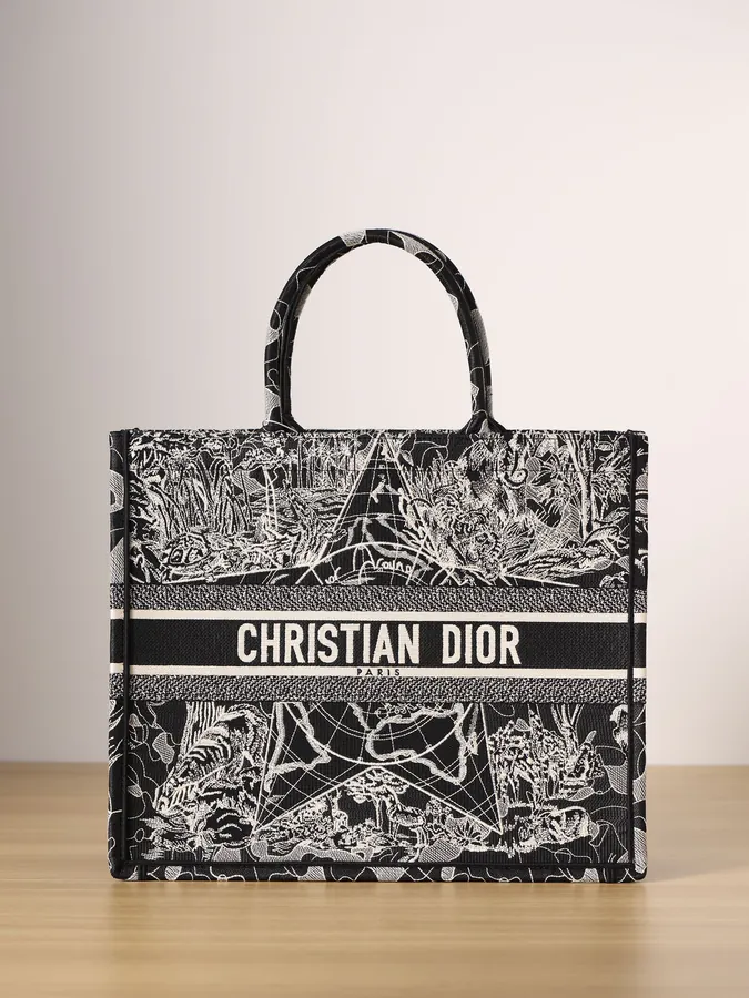 Dior Book Tote in Black with White Around the World Embroidery