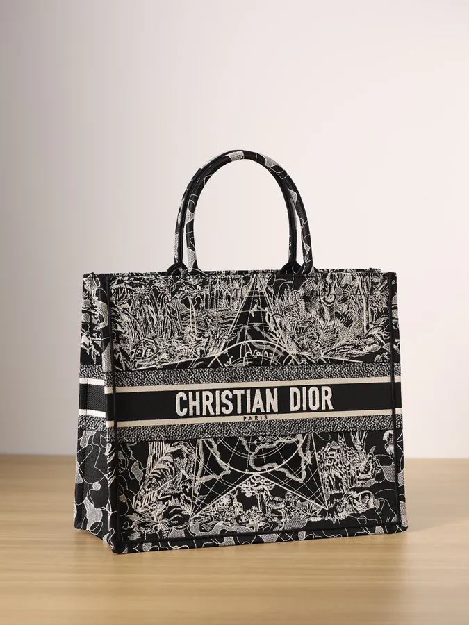 Dior Book Tote in Black with White Around the World Embroidery