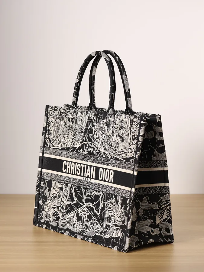 Dior Book Tote in Black with White Around the World Embroidery