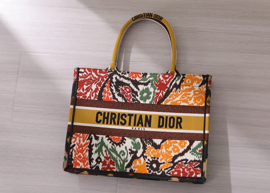 Dior Book Tote Handbag Mini Size