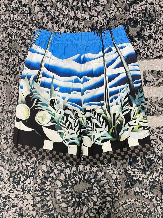 24ss New Print Beach Shorts by Lvji