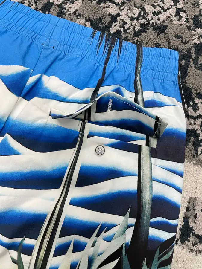 24ss New Print Beach Shorts by Lvji