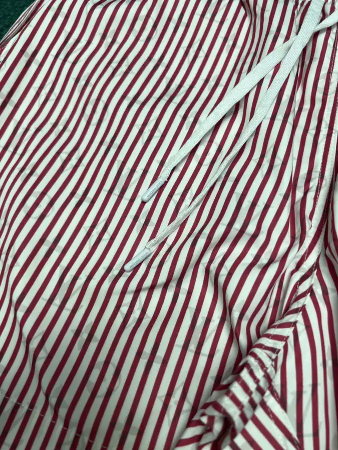 LV Patch Beach Shorts in 25ss New Collection