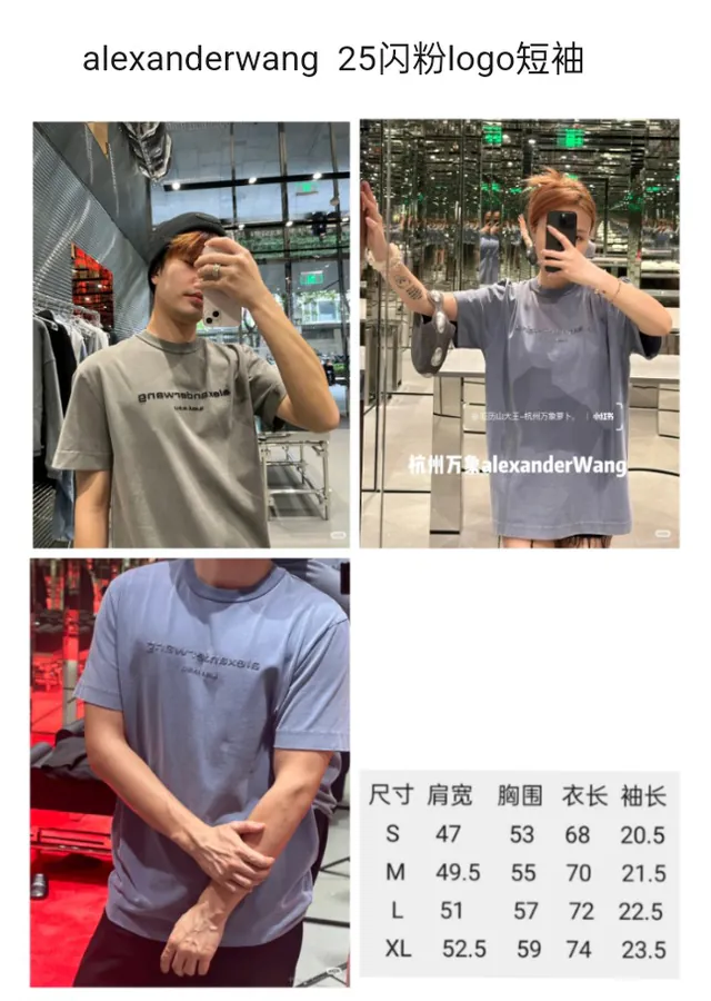 Alexander Wang AW Flash Powder Short Sleeve Retro Blue & Cement Gray