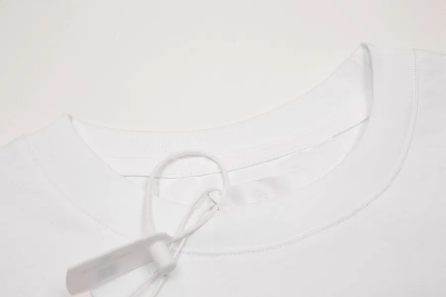 Giv's Snake Year Collection Gradient Letter Round Neck T Shirt