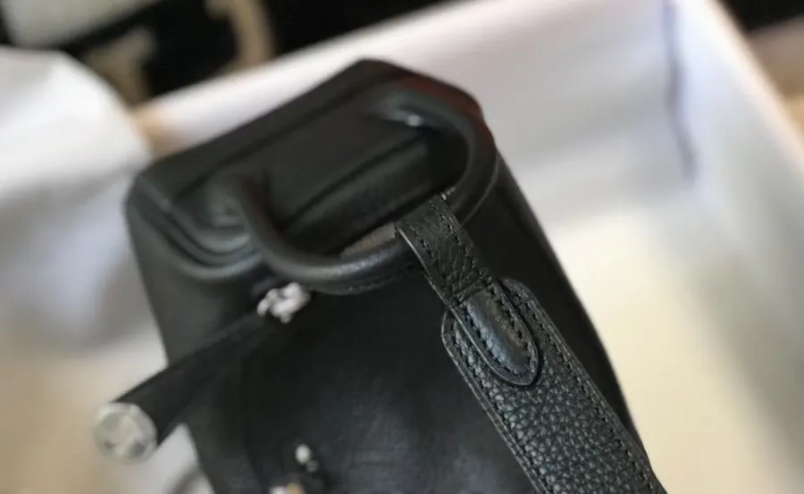 Mini Lindy Togo Bag in Top Grain Calfskin