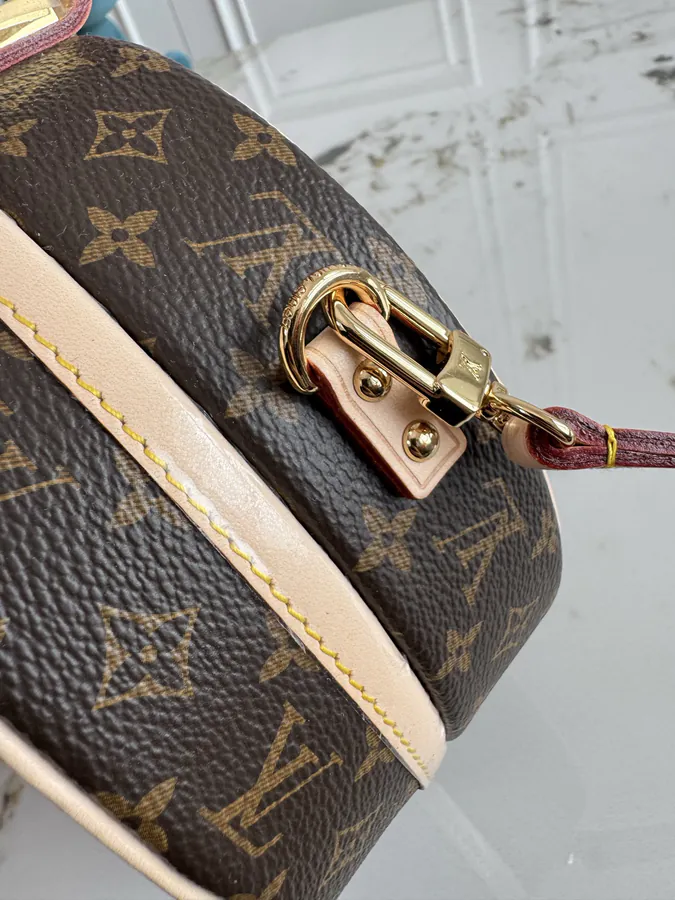 Louis Vuitton Capucien Bag Mini Size, Cute and Practical