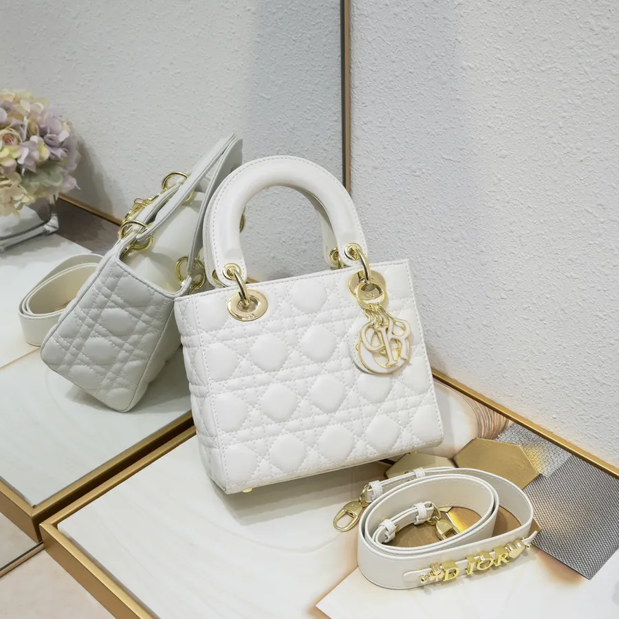 Lady Dio.r Four Compartment Calfskin Bag with Engraved Brass Clasp