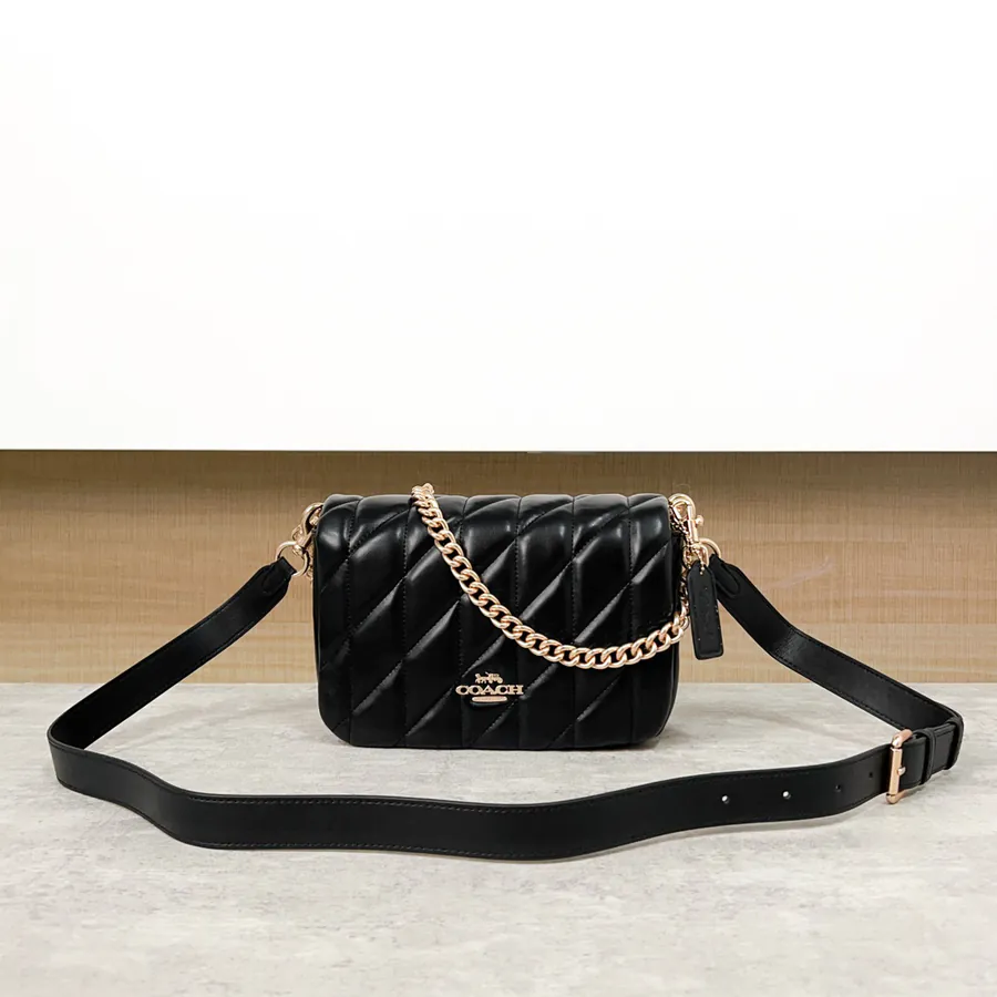 Coach Quinn Bag Cloud Shape, 12 Month New Series
