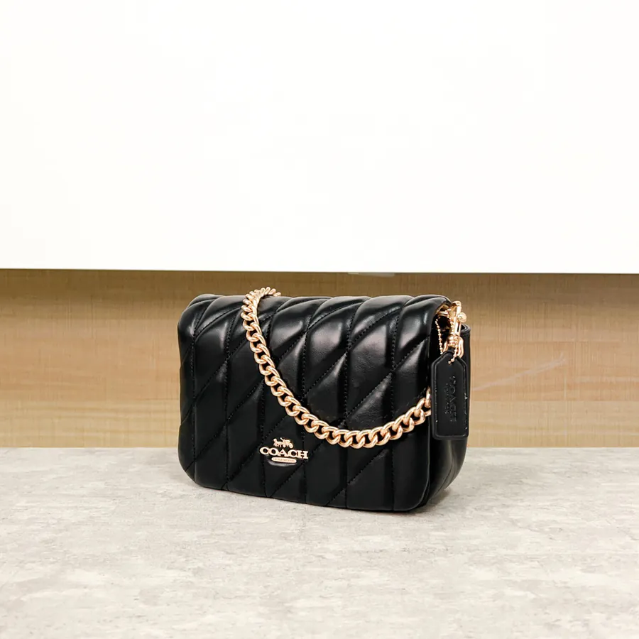 Coach Quinn Bag Cloud Shape, 12 Month New Series