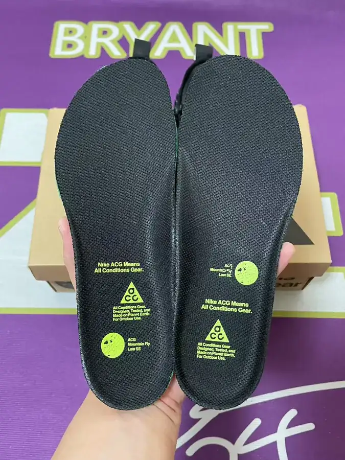 ACG Mountain Fly Low SE Outdoor Functional Low Top Shoes
