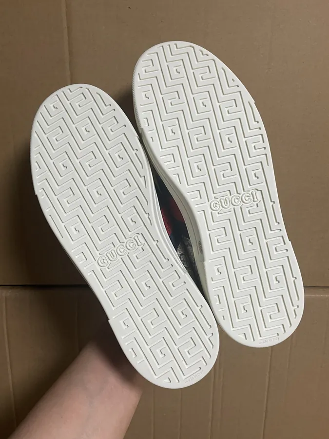 ACE Canvas Low Top Sneaker for Men