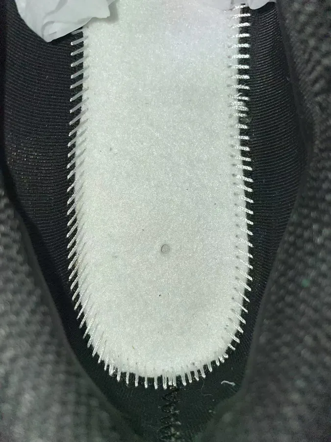 ACG Mountain Fly Low 2 Outdoor Functional Low Top Shoes