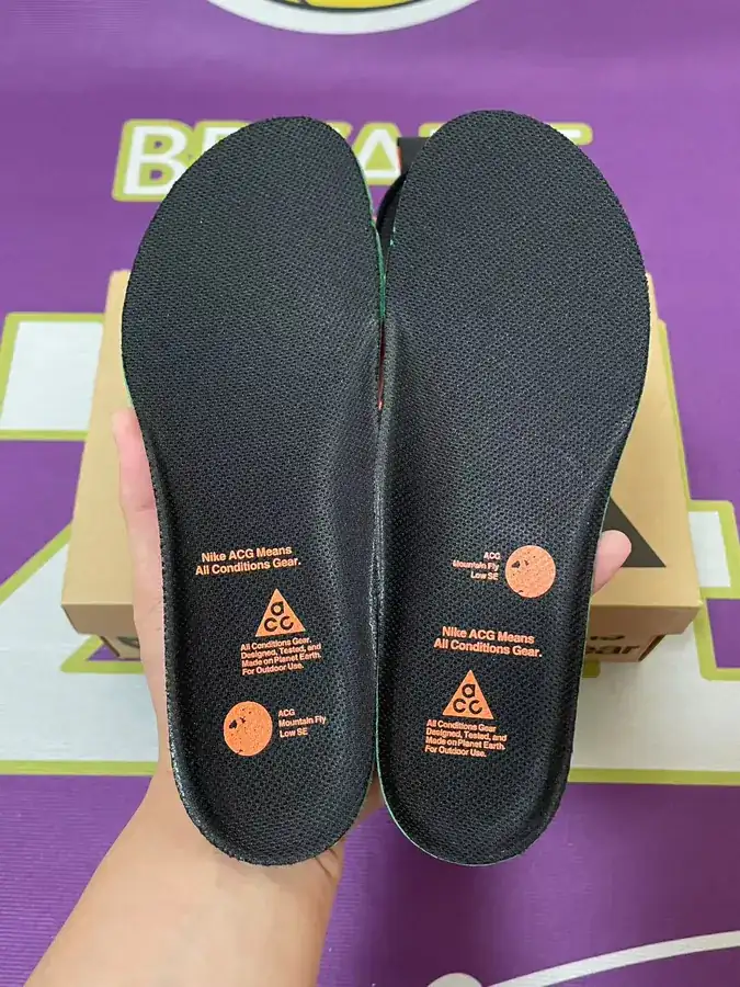 ACG Mountain Fly Low 2 Outdoor Functional Low Top Shoes