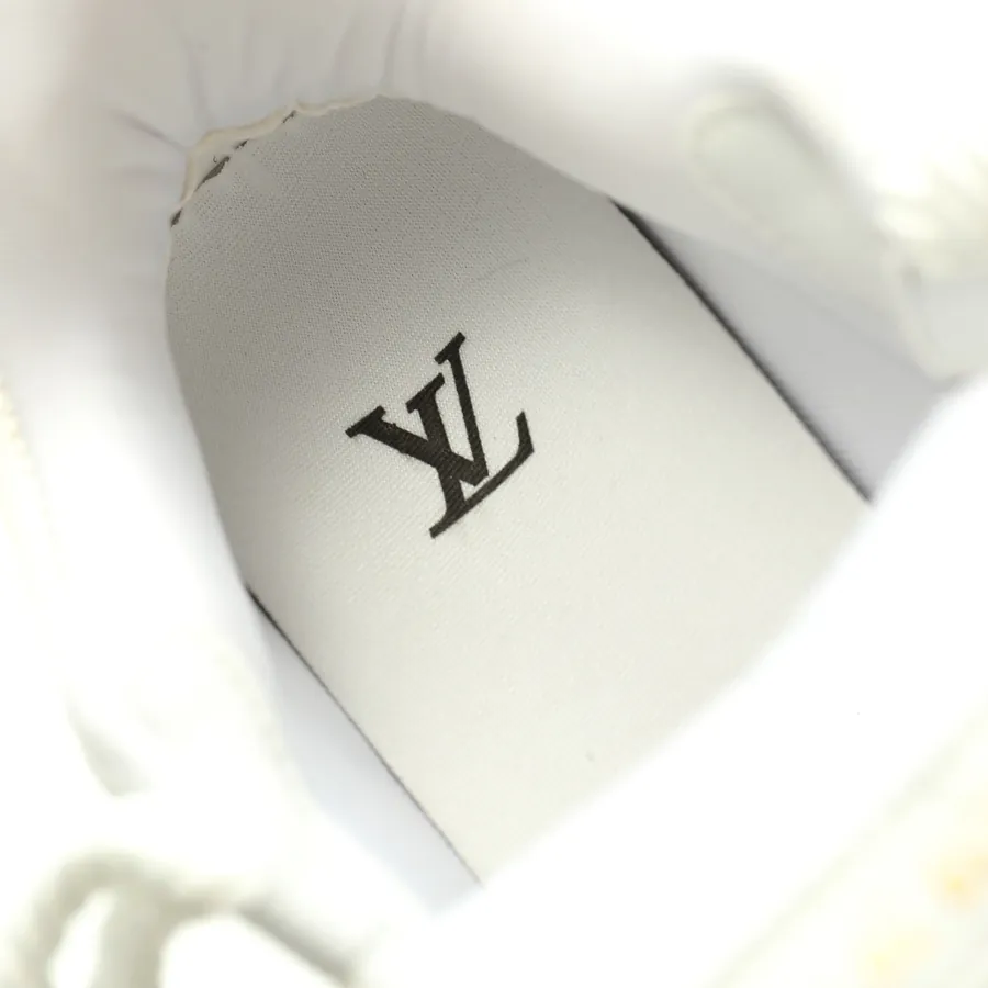 Louis Vuitton Skate 1854 Low Sneaker 54 Series