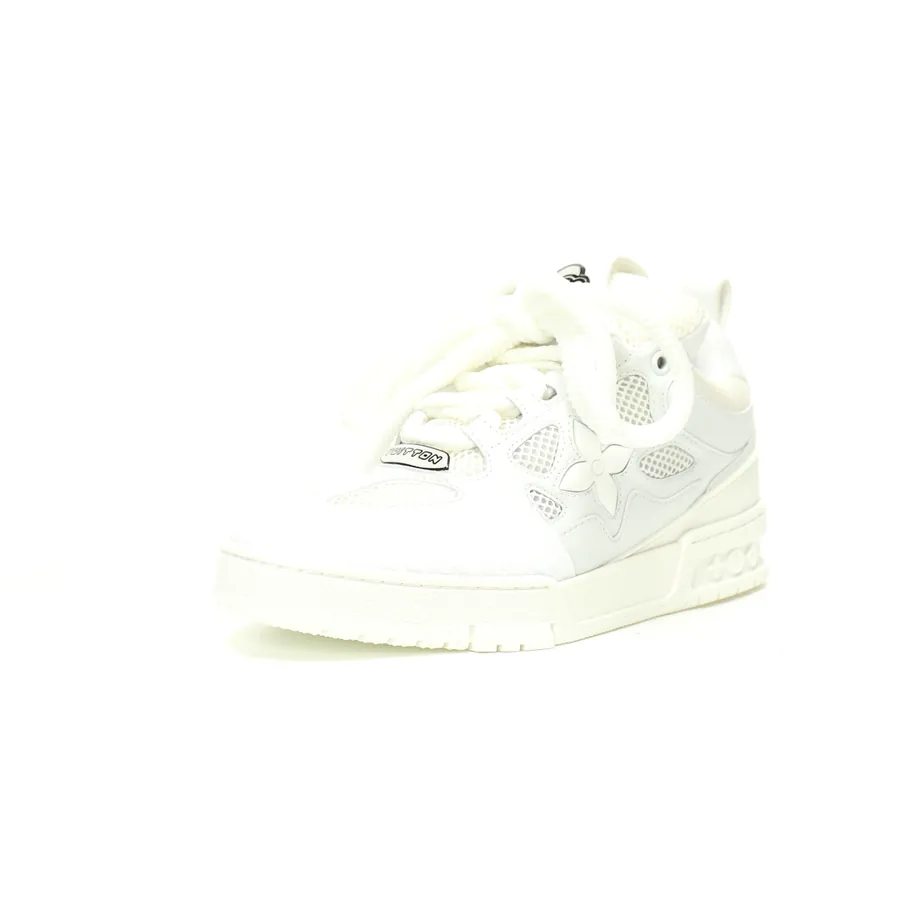 Louis Vuitton Skate 1854 Low Sneaker 54 Series