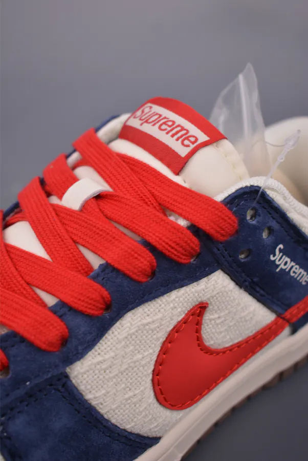 Nike SB Dunk Low Behind Collaboration