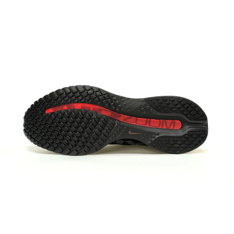 Nike Pegasus Premium 'BlackBright Crimson' Low Top Running Shoes