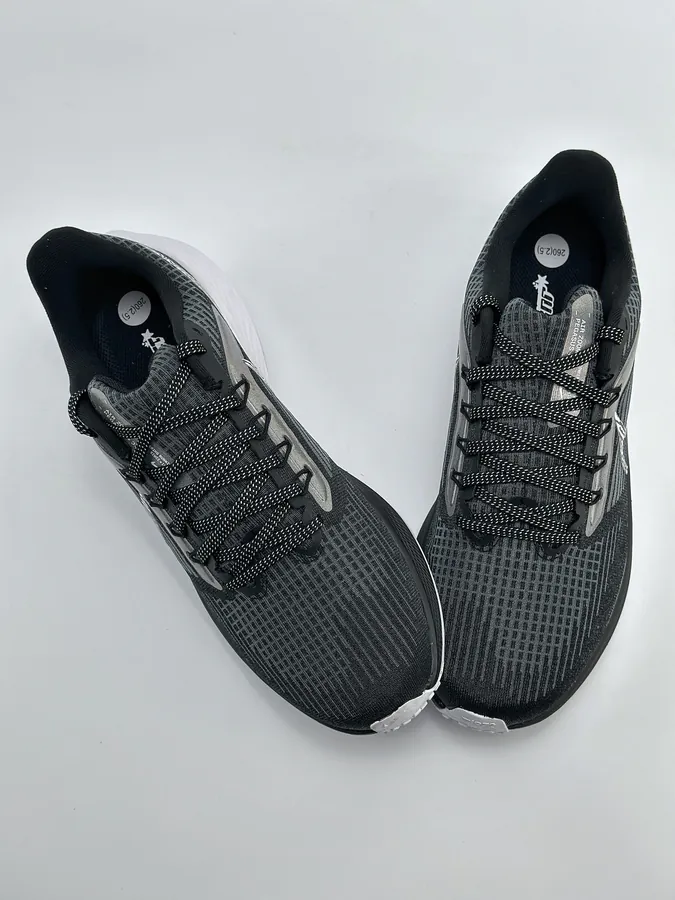 Nike Air Zoom Pegasus 39 Flywire Series