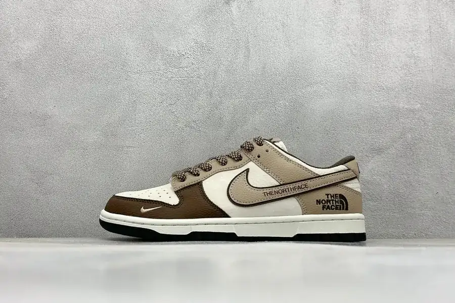NK SB Dunk Low x North Face Collaboration