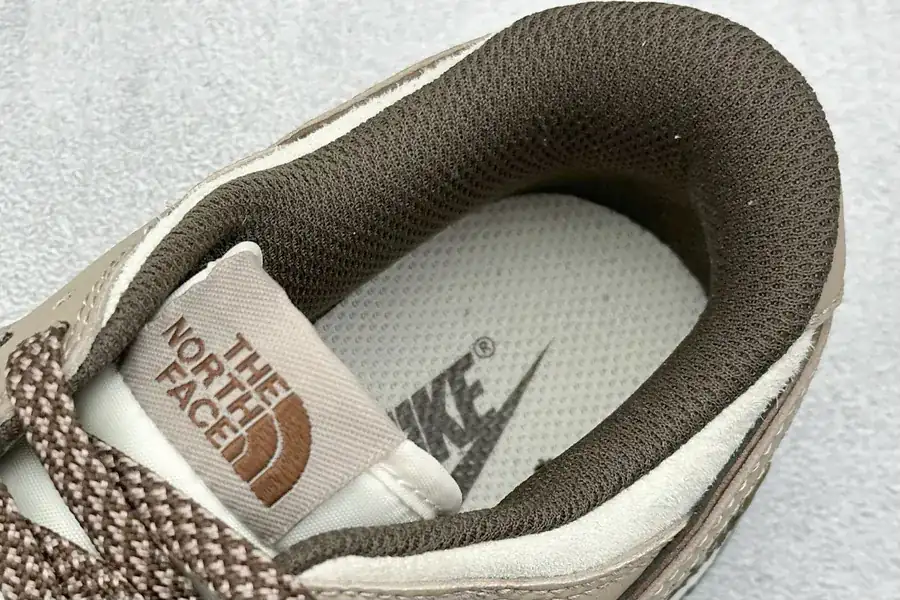 NK SB Dunk Low x North Face Collaboration