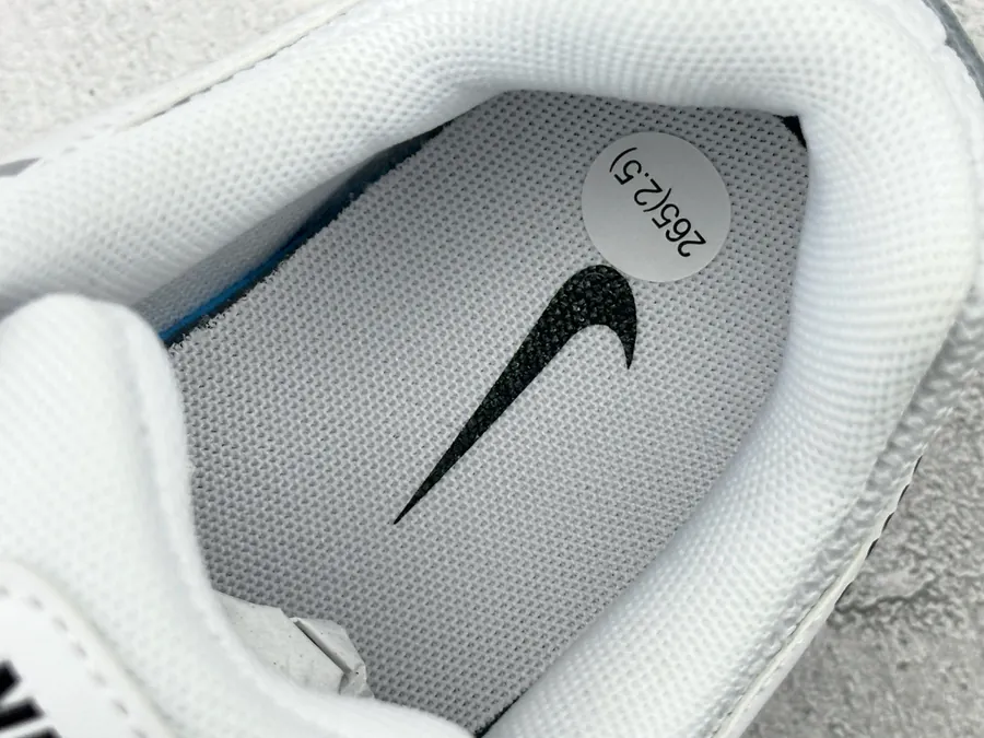 Nike P 6000 Silver White