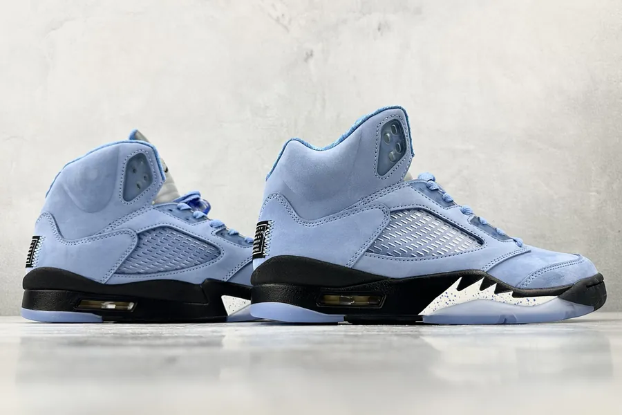 Jordan Air Jordan 5 UNC