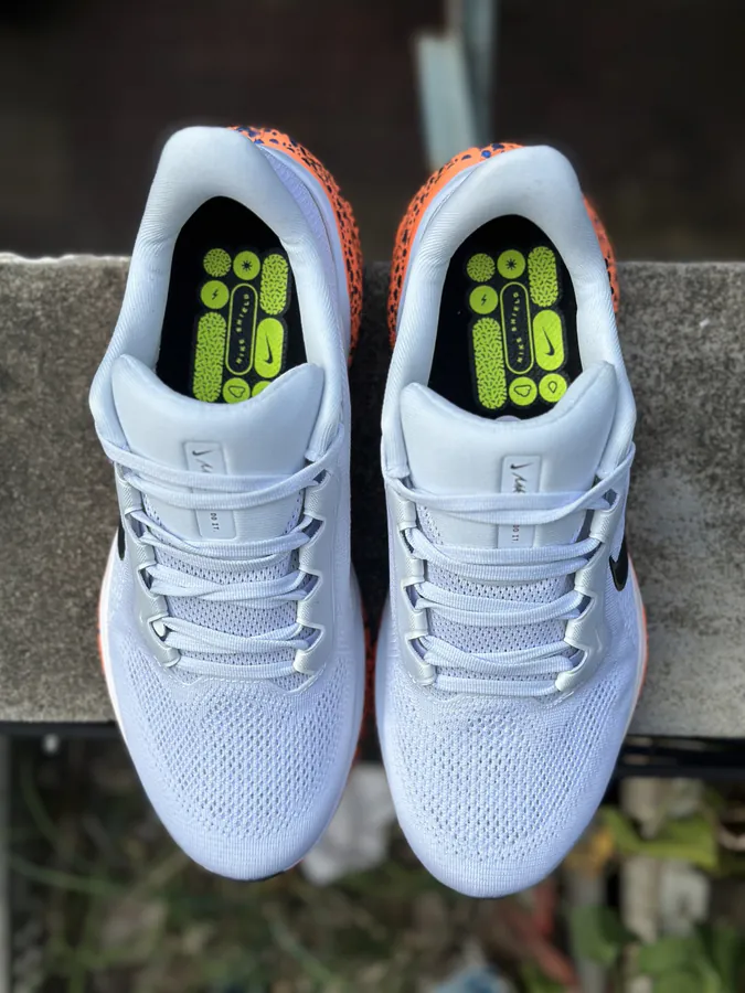 Nike Air Zoom Pegasus 41 Dynamic Support Running Shoes