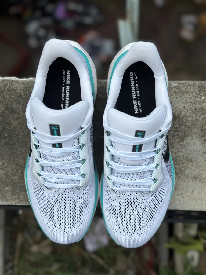 Nike Air Zoom Pegasus 41 Dynamic Support Running Shoes