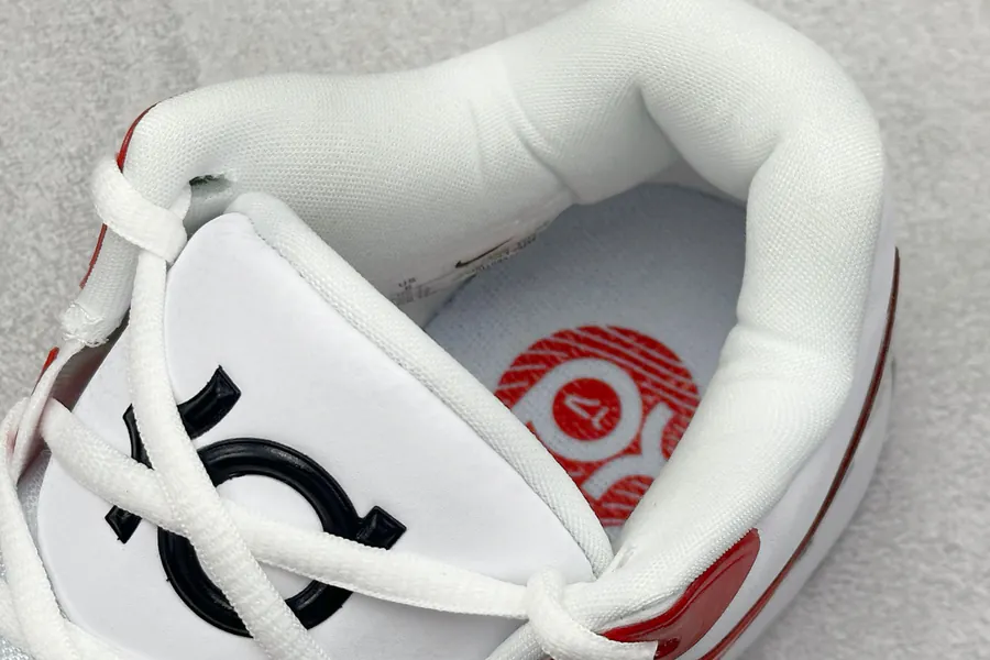GJR Nike Zoom KD 17 Basketball Shoes