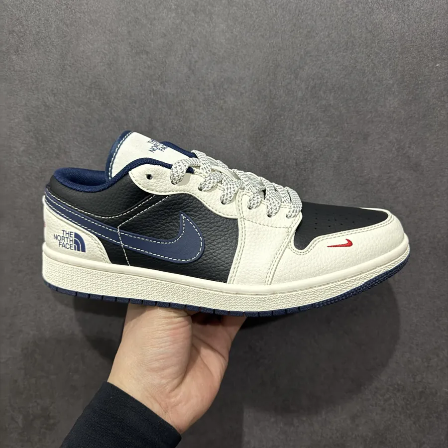 Air Jordan 1 Custom Edition by North Face