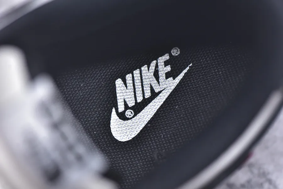 Nike SB Dunk Low x North Face Customized Low Top Sneakers