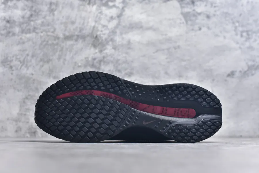 Nike Pegasus Premium Runway Collection, Air Zoom Technology, Sneaker