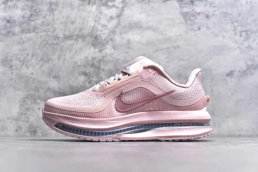 Nike Pegasus Premium Running Shoes HQ2593 601
