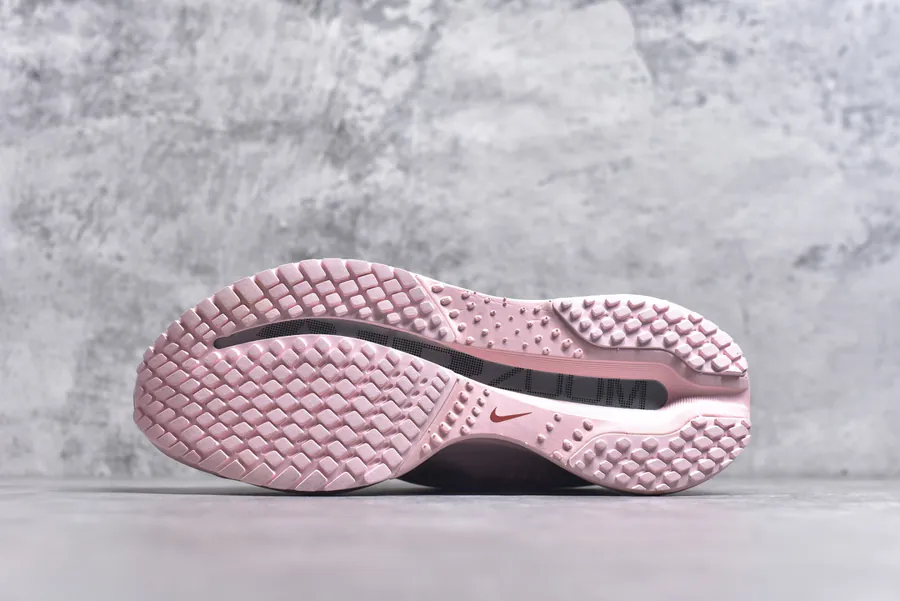 Nike Pegasus Premium Running Shoes HQ2593 601