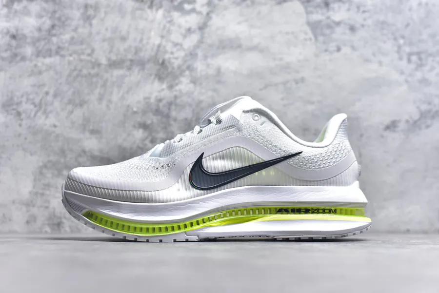 Nike Pegasus Premium Running Shoes HQ2592 100