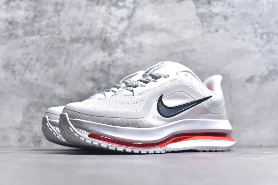 Nike Pegasus Premium Running Shoes HQ2592 101