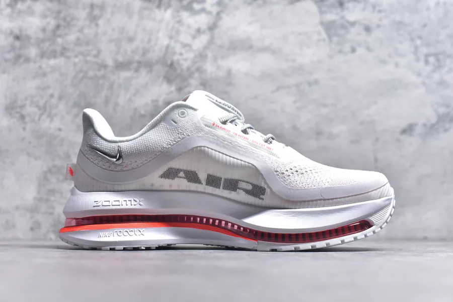 Nike Pegasus Premium Running Shoes HQ2592 101