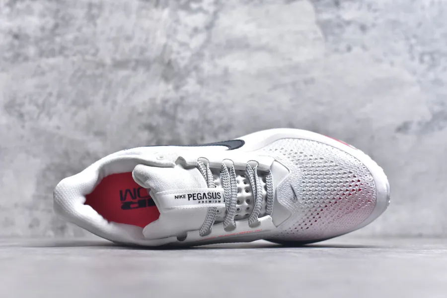 Nike Pegasus Premium Running Shoes HQ2592 101