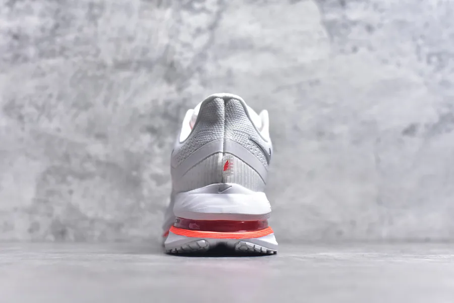 Nike Pegasus Premium Running Shoes HQ2592 101