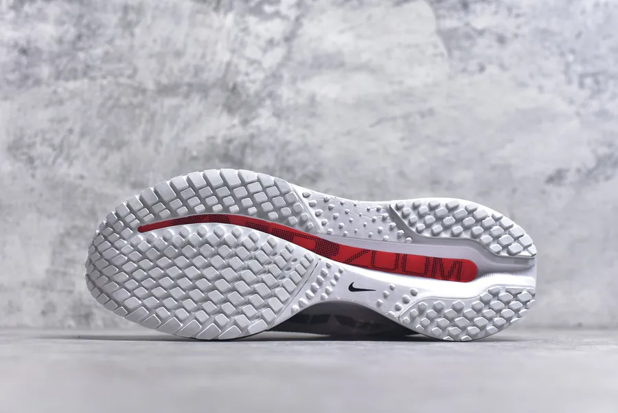 Nike Pegasus Premium Running Shoes HQ2592 101