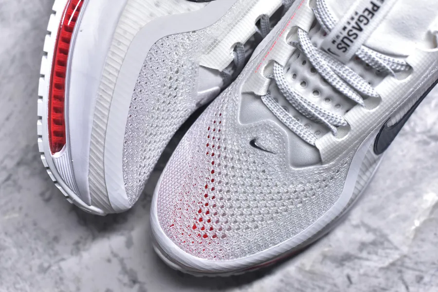 Nike Pegasus Premium Running Shoes HQ2592 101
