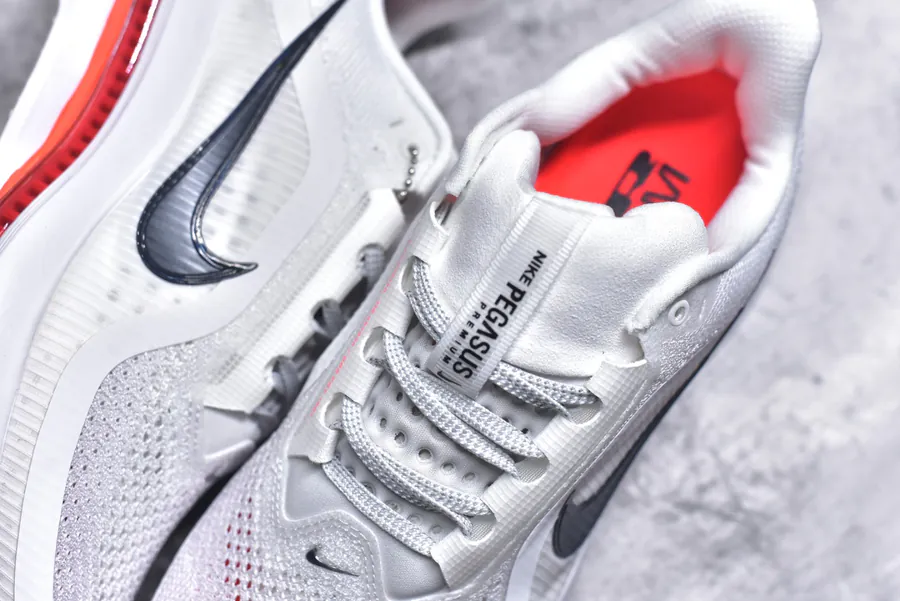 Nike Pegasus Premium Running Shoes HQ2592 101